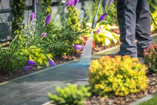 Best Driveway Pressure Washing  in Ellensburg, WA